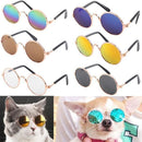 Gafas Para Mascota - DiversiColombia