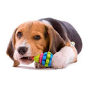 Juguete Perros Goma Texturizado Didáctico Mascotas 14213-45 - DiversiColombia