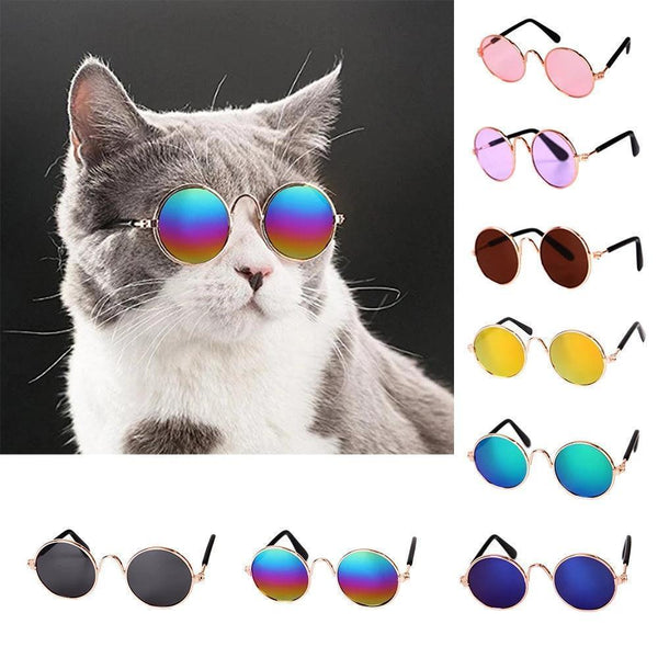 Gafas Para Mascota - DiversiColombia