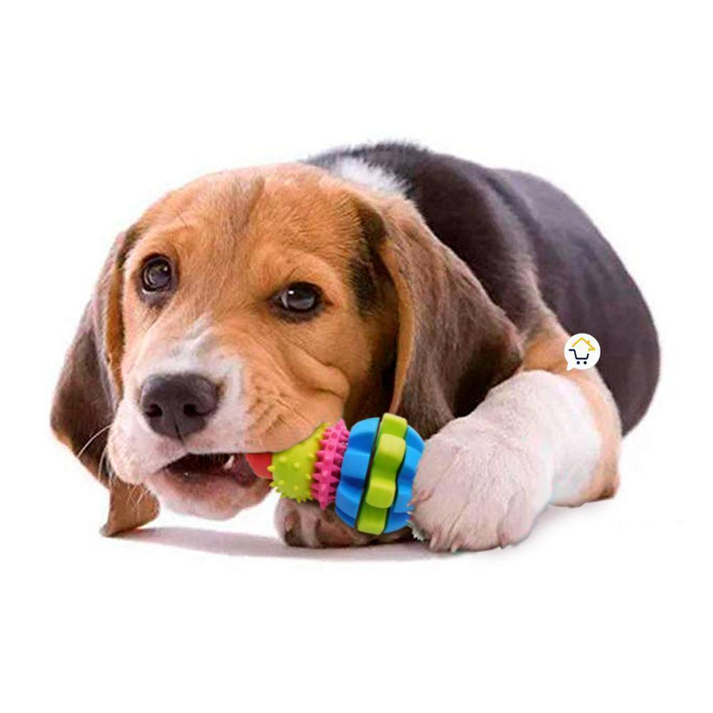 Juguete Perros Goma Texturizado Didáctico Mascotas 14213-45 - DiversiColombia